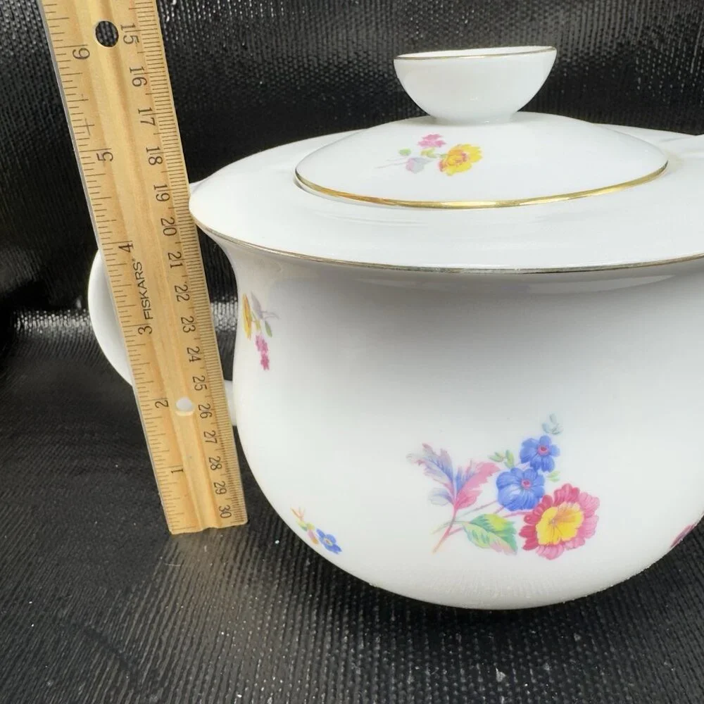 DRASCHE BUDAPEST Fine Porcelain Teapot Carafe Tea Pot Multicolored‎ Floral VTG